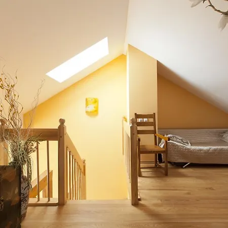 Apartman Rymarska *